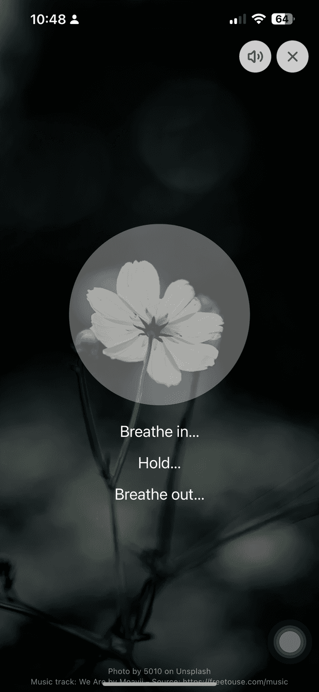 Faith Haven Daily screenshot 2